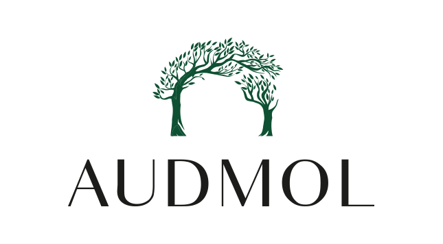 Audmol Capital logo